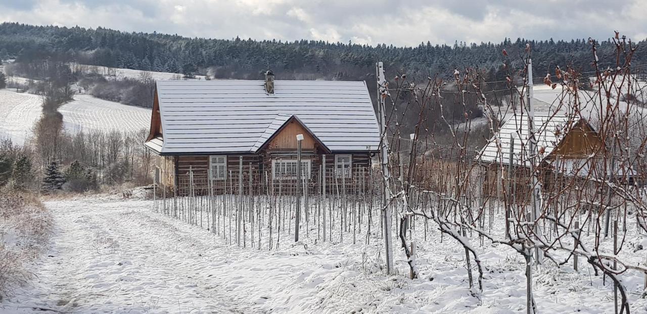 Utopia Dom Przy Winnicy Nowica Bagian luar foto